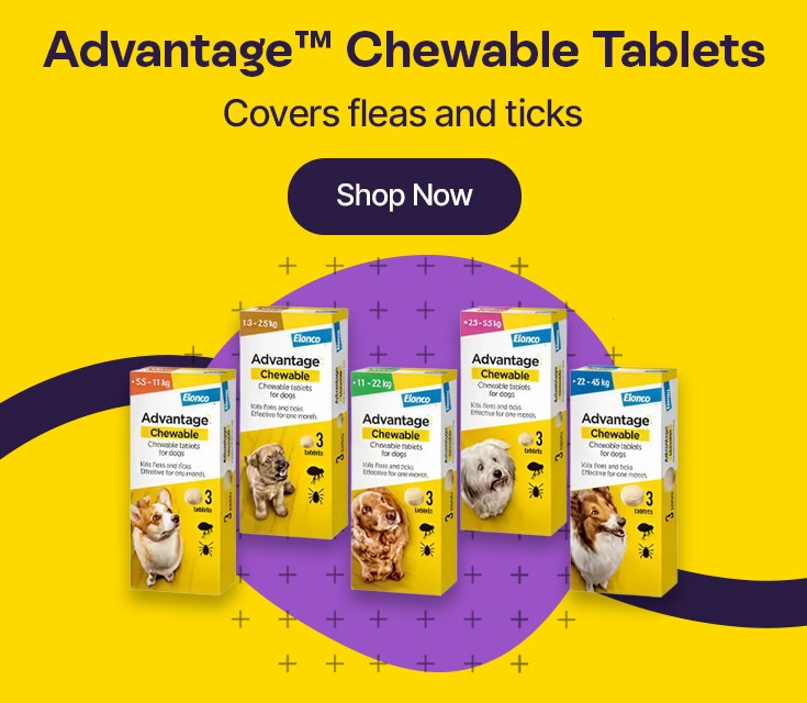 Advantage Chewable Tablets Covers fleas and ticks
