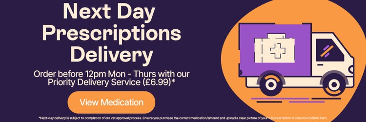 Next Day Prescriptions Delivery - Order and upload a valid prescription before 12pm Mon-Thurs