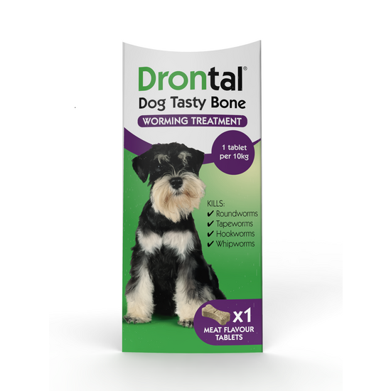 Drontal Tasty Bone Wormer Tablets for Small and Medium Dogs (2kg-20kg) 2881